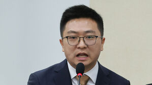 여야, '의원 배지까지 짝퉁 판매' 알리익스프레스 질타