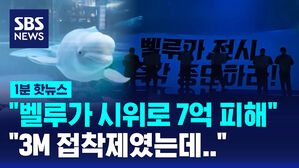 [1분핫뉴스] "3M 제품이었는데" 7억 벨루가 시위 결론은?
