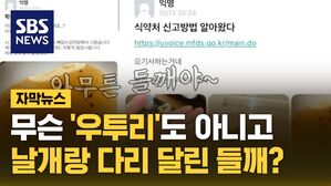 [자막뉴스] 들깨가 아기장수 '우투리'도 아니고 날개랑 다리 달렸다?