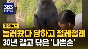 원숭이 나쁜손
