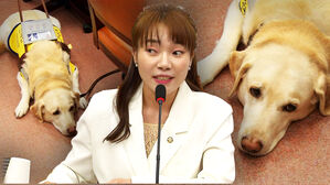 [영상] 국회 생활이 체질? '김기현 2기' 첫 최고위에 등장한 안내견 '조이'&hellip;김예지 의원 곁에서 '편안'