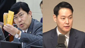 권익위 국감서 '이재명 청담동 샴푸', '부위원장 사전선거운동' 공방