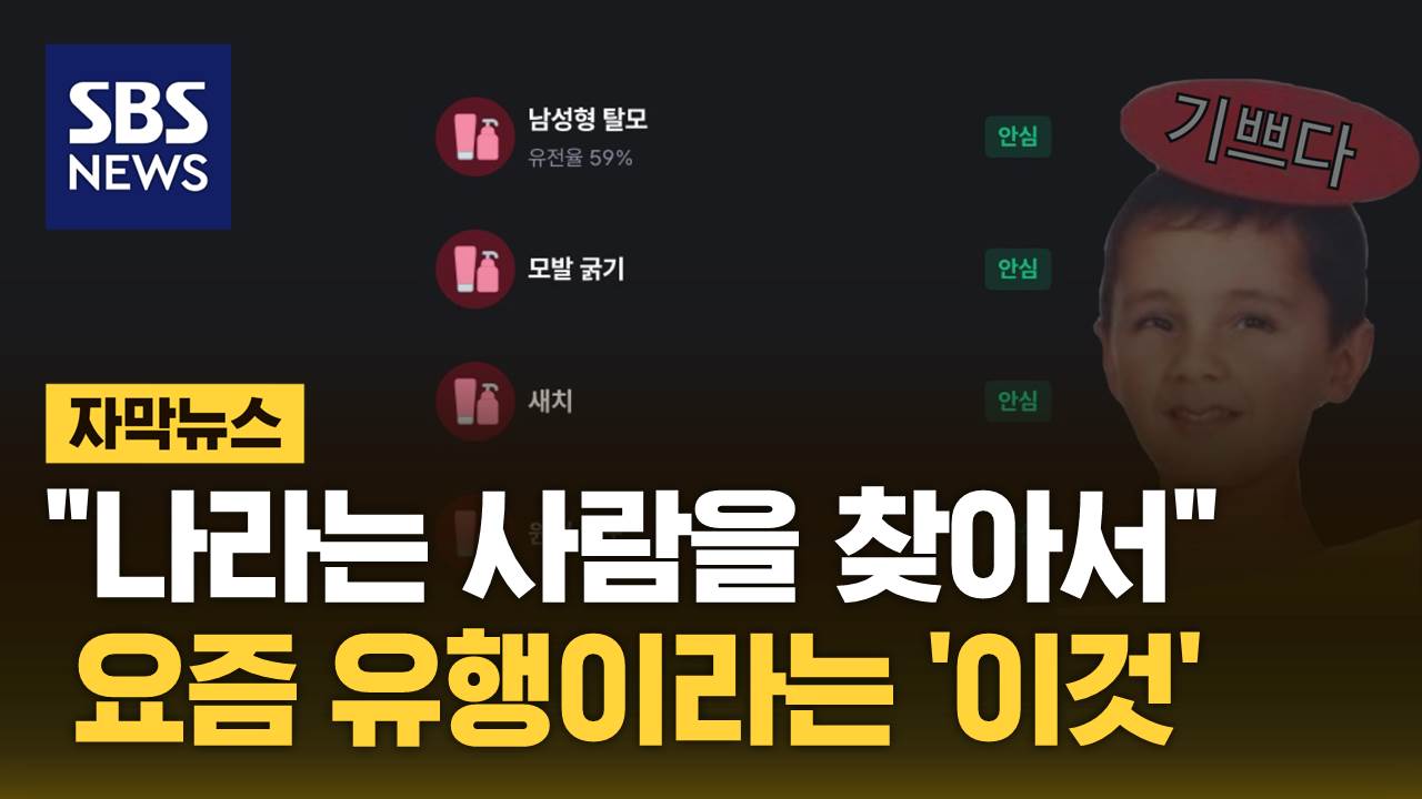 [자막뉴스] 