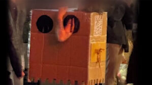 길거리서 "만져달라"&hellip;'압구정 알몸 박스녀' 또 유죄