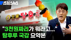 삼천원짜리가 뭐라고 탕후루 국감 요약본