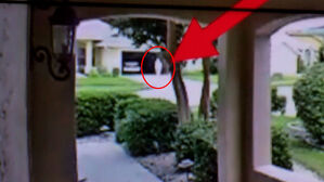 [월드리포트] 노인 구한 '1 프레임의 기적'…6일 만에 가족 품으로