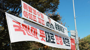 '정당 현수막 난립' 방지법, 행안위 소위 통과