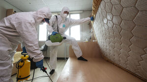 '아야' 빈대 물렸다면&hellip;이렇게 응급처치 하세요