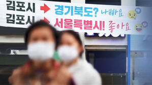 군위군도 3년 걸렸는데&hellip;'지역 소멸' 위기에 메가 서울?