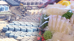 스프 뉴스스프링