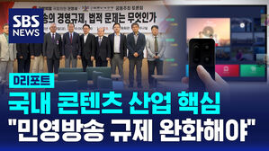 [D리포트] "민방 '소유 &middot; 경영 분리' 재허가 조건, 법적 근거 부족"