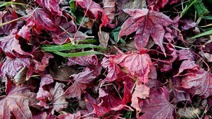 강원 설악산 -10.8도·철원 -10.2도…올가을 가장 추운 아침