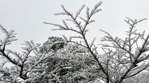 첫눈 내린 제주 한라산…강원 설악산도 영하 10.8도로 '꽁꽁'