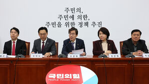 국민의힘 뉴시티 특위, 이번 주 '김포 서울 편입' 법안 발의