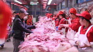 중국 '물가 척도' 돼지 고깃값 작년 대비 42%↓…"경제난에 소비 감소"