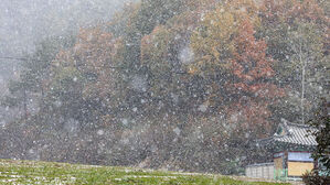 서울 올가을 첫눈…찬바람에 영하권 추위
