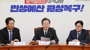 발언하는 이재명 대표