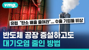 우리가 종이빨대 쓸 때 기업은 어떤 노력을 했을까 (ft. 통합환경관리제도) / 비디오머그