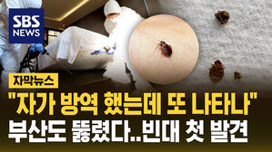 [자막뉴스] "자가 방역했는데 또 출몰"&hellip;부산에서도 빈대 발견