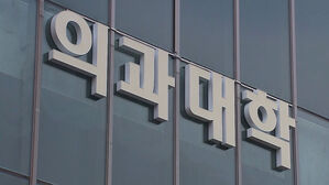 의사협회, 11&sim;17일 총파업 찬반 투표&hellip;17일엔 '의사 총궐기 대회'