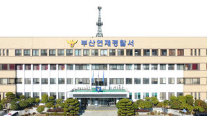 "휴대전화 자료 옮겨주겠다" 1천만 원 무단 인출한 대리점 직원