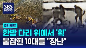 한밤 다리 위에서 '휙' 붙잡힌 10대들 "장난"