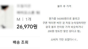 "소비자 기만"&hellip;'블랙프라이데이 세일'이라더니 가격 인상?
