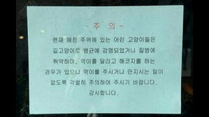 [뉴스딱] "길고양이 먹이 금지"&hellip;애묘인들 별점 테러에 결국