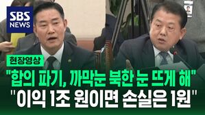 [영상] "까막눈 북한, 눈 뜨게 만들어"  vs "1조 원 이익, 1원 손실"