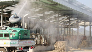 소 럼피스킨 확진 107건 유지…나흘째 추가 발생 없어