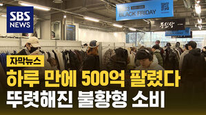 하루 만에 500억 팔렸다&hellip;뚜렷해진 불황형 소비