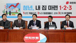 내년 신설 '청년 주택드림 대출'&hellip;서울 대상 물량 적어