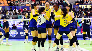 기뻐하는 현대건설 선수단 (사진=한국배구연맹 제공, 연합뉴스)