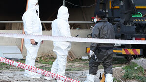 소 럼피스킨 엿새째 신규 확진 없어…소 반 · 출입 제한 해제