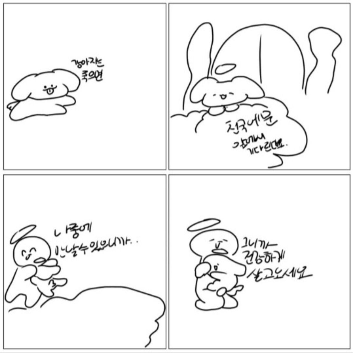 장기기증 이예원 양