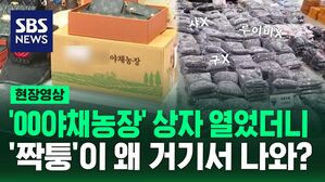 [영상] 농산물 상자에 담겨 배달된 '짝퉁 명품' 가방과 옷&hellip;가짜 명품 판매한 11명 검거, 18억 상당 압수