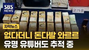 [자막뉴스] '밀린 세금 안 내세요?' 유명 유튜버도 추적 중