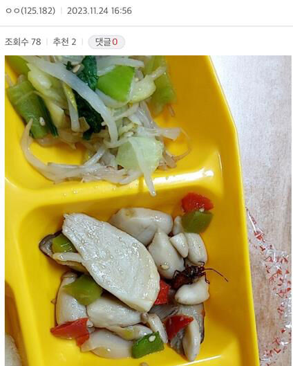 경남 창원시의 한 고등학교 급식 도시락에서 나왔다는 벌레 (사진=디시인사이드 캡처, 연합뉴스)