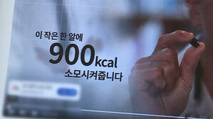 스프 뉴스스프링