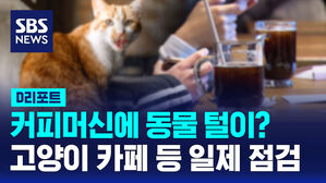 [D리포트] 커피머신 위에 고양이가&hellip;동물 업소 일제 점검