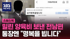 밀린 양육비 보낸 전남편 통장엔 "명복을 빕니다"