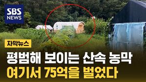 [자막뉴스] 회원만 32만 명&hellip;외진 산속 농막의 비밀
