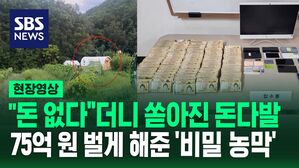 [영상] 외진 시골의 농막, 성매매 광고 사이트 사무실이었다&hellip;"돈 없다면서요? 이 10억 뭐예요?!"