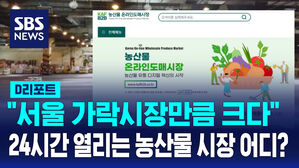 [D리포트] "서울 가락시장만큼 큰"&hellip;온라인 농산물 도매시장 출범