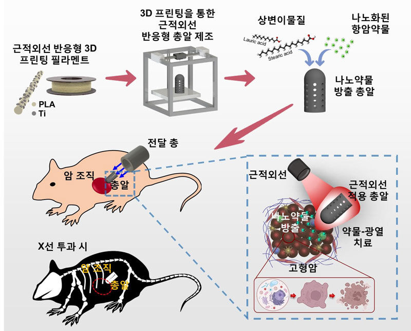 암 조직 타깃 항암약물 방출해 치료하는 암 표적 총알 개발 (사진=한국연구재단 제공, 연합뉴스)