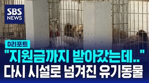 [D리포트] 유기동물 175마리 입양한 뒤 지원금 타내&hellip;경찰 조사 중