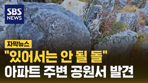 [자막뉴스1] 석면돌