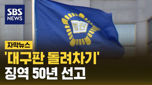 [자막뉴스2] 대전 돌려차기