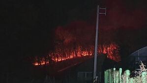경기 군포에 산불&hellip;1시간 20분 만에 진화