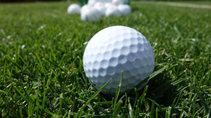 15m 거리 동료 샷에 20대 실명&hellip;'멀뚱' 서있던 캐디 결국 